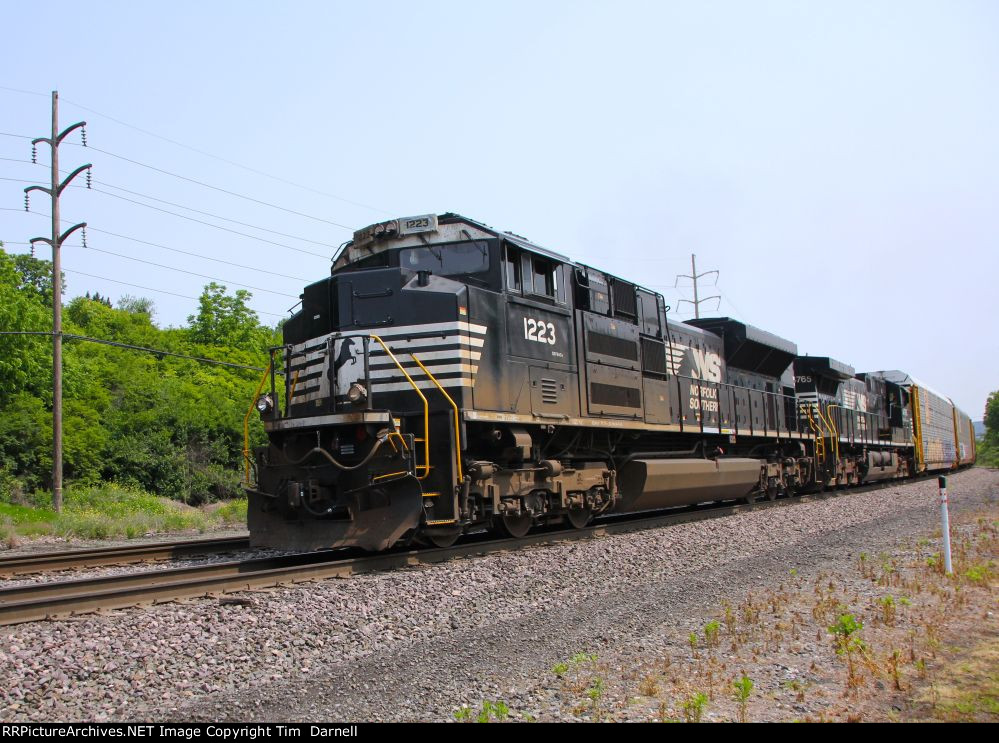 NS 1223 leads 11N